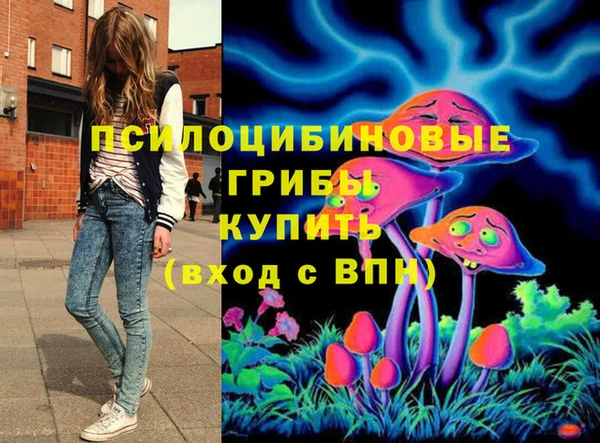 тгк Аркадак