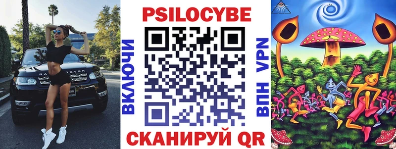 магазин    Ржев  Псилоцибиновые грибы GOLDEN TEACHER 